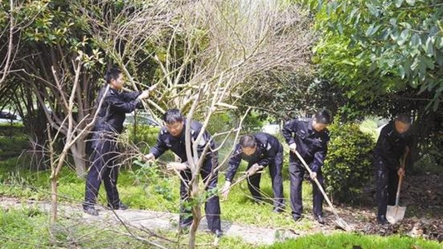 周口“創衛”：刑警在行動