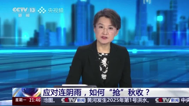 【主流媒體看周口】面對(duì)連陰雨 如何“搶”秋收？